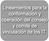Lineamientos IT